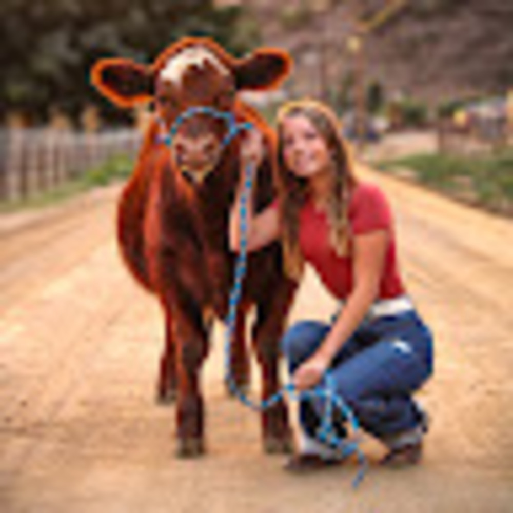 Meet your Posher, Julia